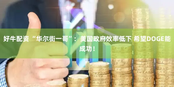 好牛配资 “华尔街一哥”：美国政府效率低下 希望DOGE能成功！